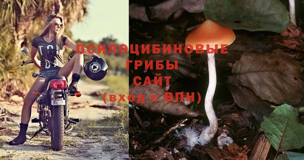 альфа пвп Новозыбков